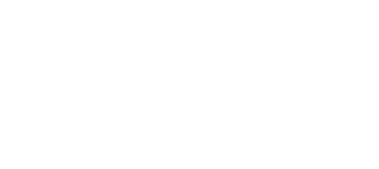 stm_NEW-LOGO-_White300